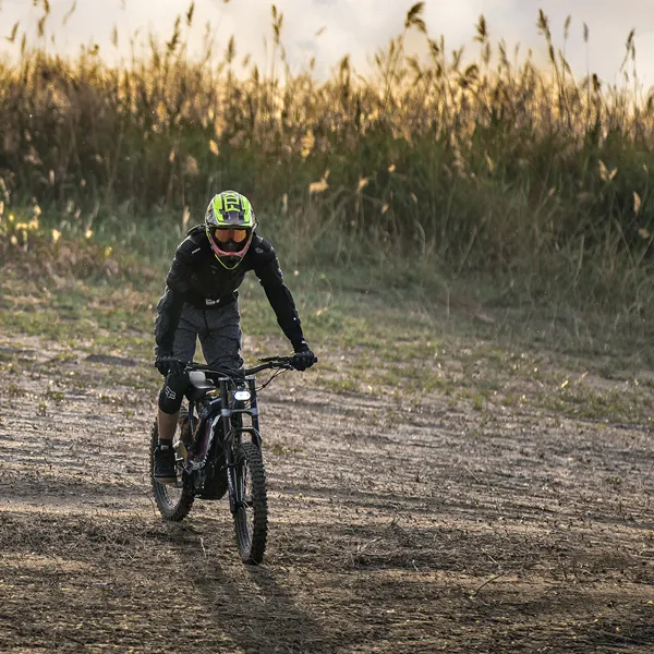 2025 SURRON Light Bee X - Image 6