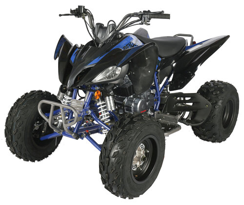Sport 250 - Image 2