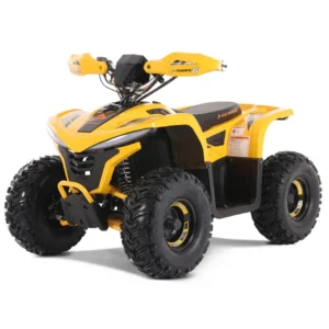 E-Hawk 6 ATV
