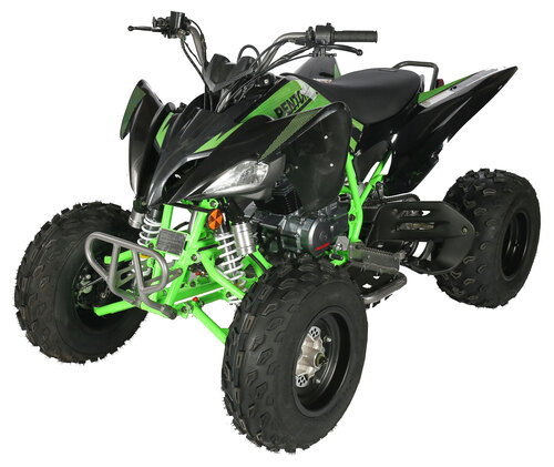 Sport 250 - Image 3