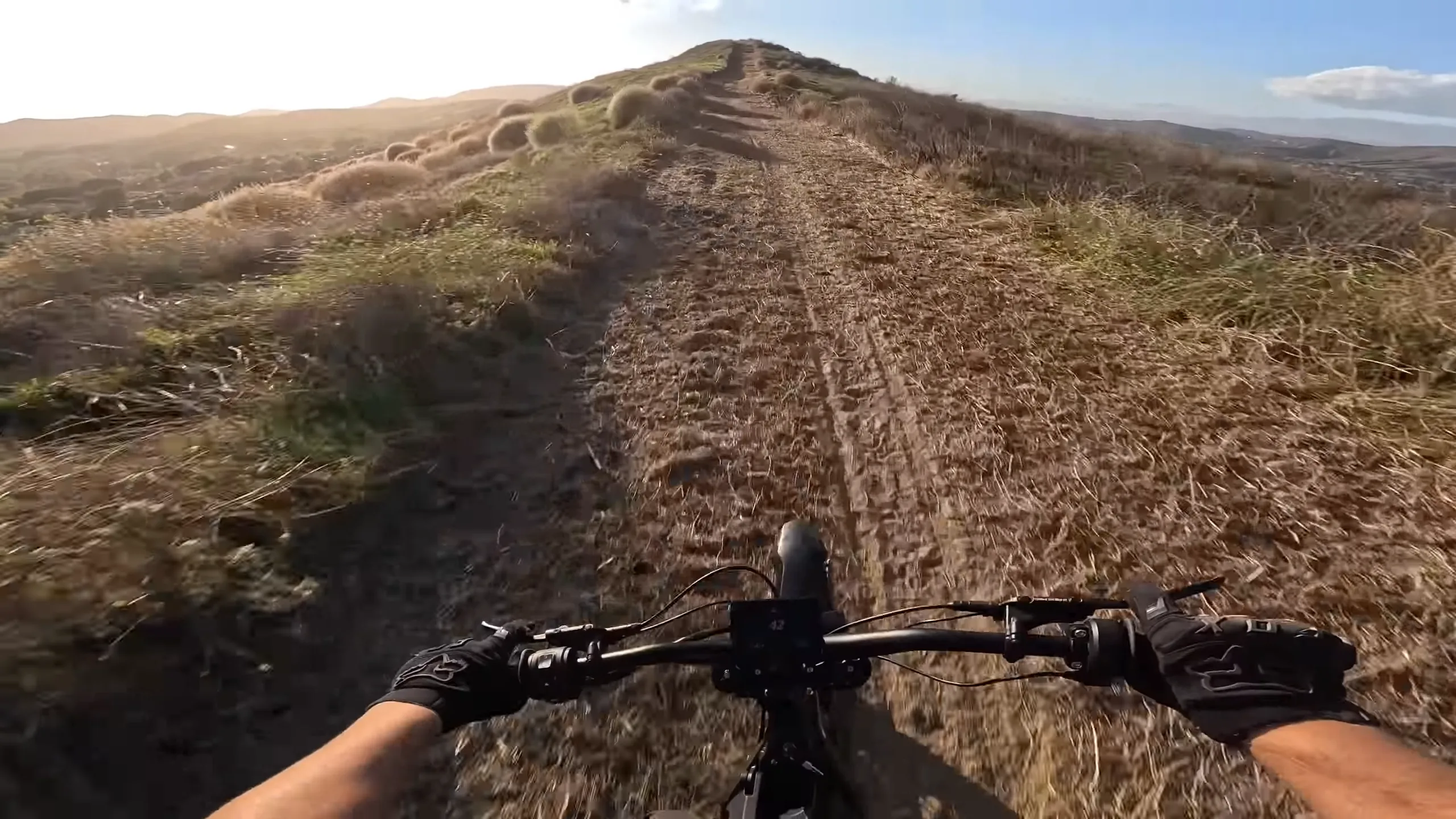 E Ride Pro S - Image 9