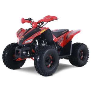 Trailhawk 10FI ATV