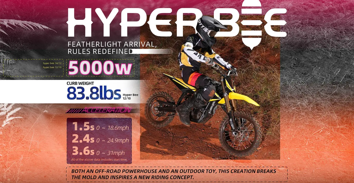 NEW SURRON HYPER BEE - Image 5