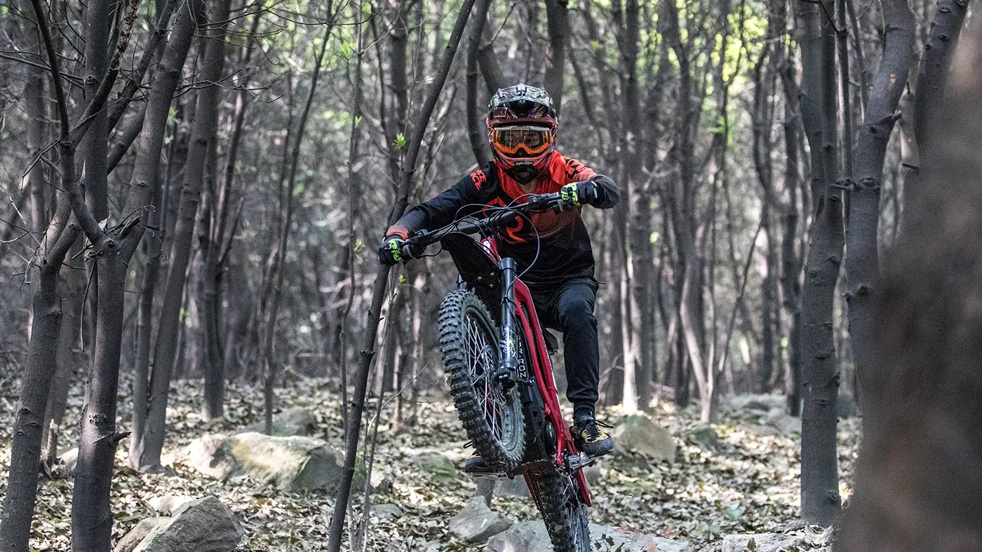 2025 SURRON Light Bee X - Image 5